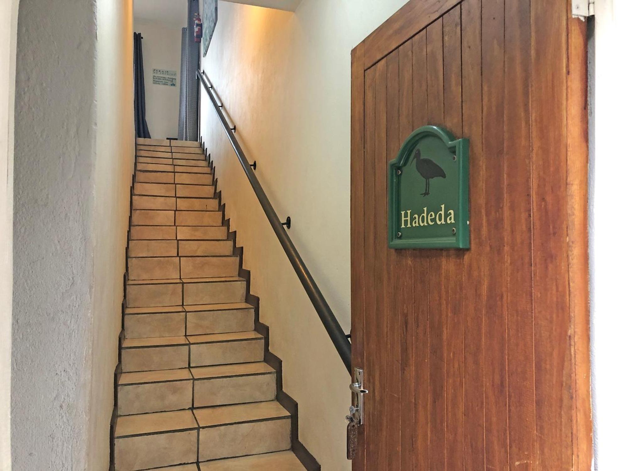 Hills And Dales Accommodation 拉塞利亚 外观 照片