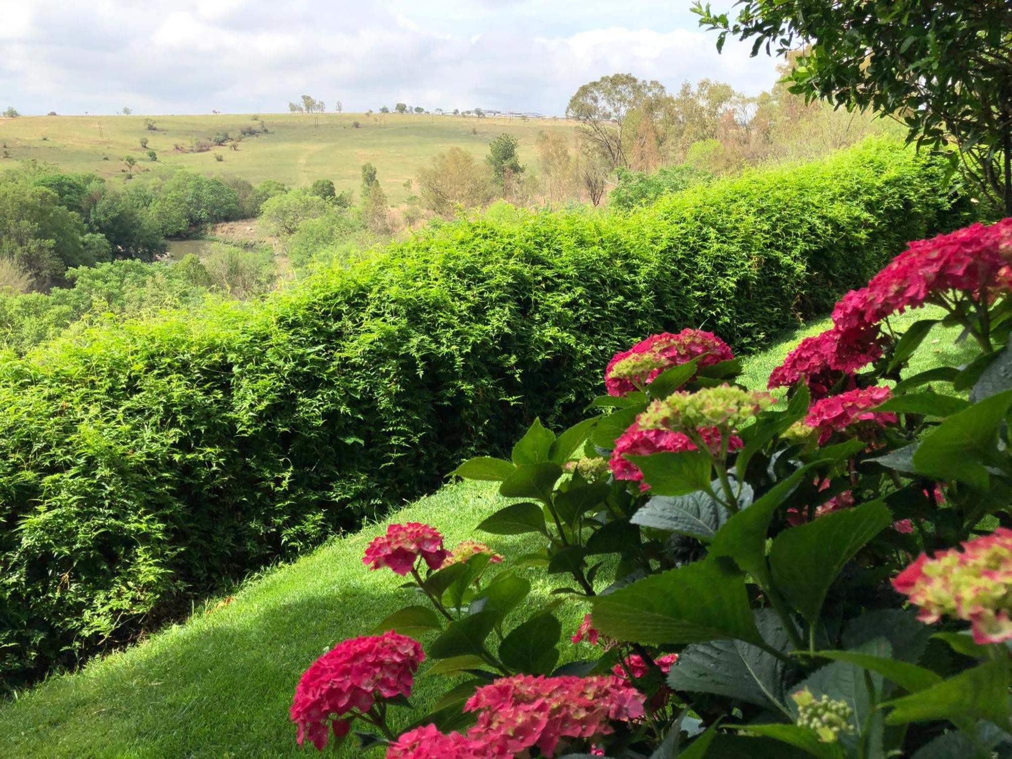 Hills And Dales Accommodation 拉塞利亚 外观 照片